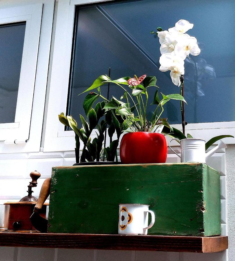 Holiday home Cortemazzini36